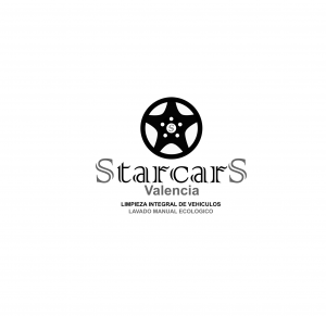 logo simple N StarcarS-GRIS